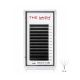 W Lash Style - 5D - 0.07 - CC - Mixed Length